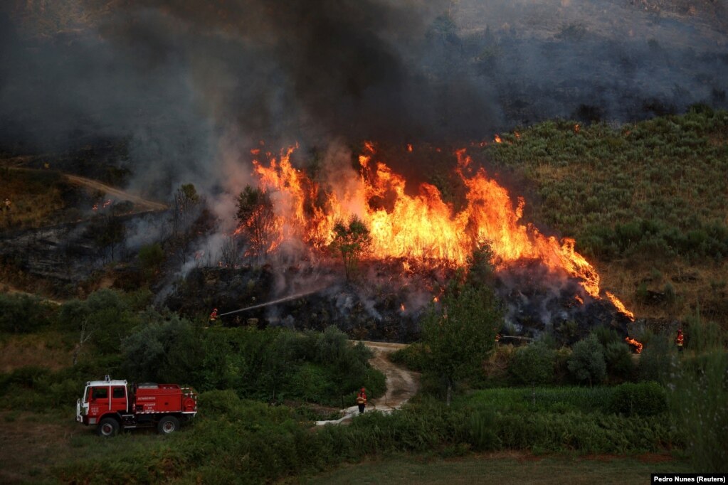 Zjarrfikës duke luftuar me një zjarr të egër në Trankoso të Portugalisë, më 11 gusht.