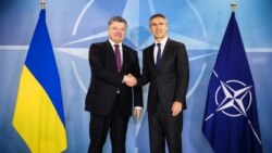 Ваша Свобода | Чи наблизить Верховна рада Україну до НАТО? 