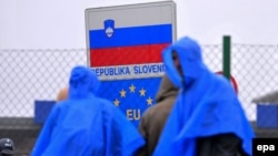 Мигранты на хорватско-словенской границе