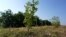Moldova, Miclesti Criuleni, village, reforestation, greening