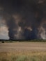 EUROPE-WEATHER/SERBIA-WILDFIRE