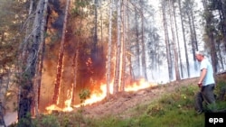 Jedan od požara u BiH, avgust 2012.