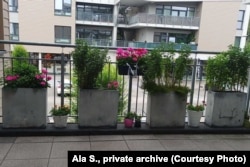 Кветкі на бальконе ў Алы. Фота з прыватнага архіву