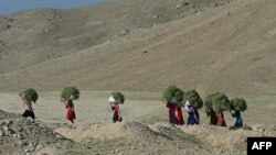 آرشیف/ تصویر جنبه تزئینی دارد و از زنان کوچی در بگرام می‌باشد/ Source: AFP
