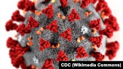 Компьютерная анимация нового коронавируса, вызывающего заболевание COVID-19.