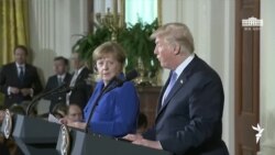 მოკავშირის მკვახე შეძახილი