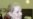 Albright On Religion, Politics, And Bush
