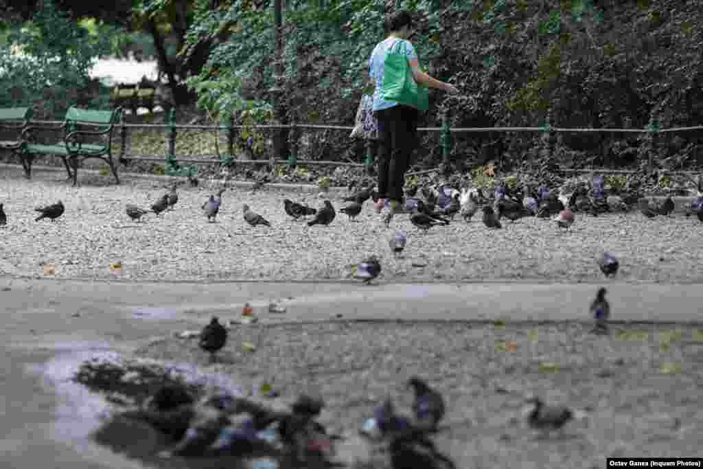 Cismigiu Park in Bucharest. 26 august 2021