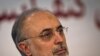 صالحی: ایران خواستار اعزام گزارشگر موضوعی سازمان ملل شده بود