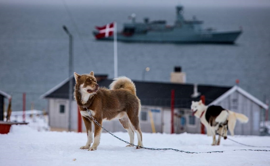 ტრამპი გრენლანდიის თავდაცვაზე: მარხილში შებმული ორი ძაღლია