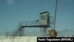 Тюремная сторожевая вышка, колючая проволока и ствол спиленного дерева. Поселок Заречный Алматинской области, 10 августа 2014 года. 