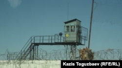 Тюремная сторожевая вышка и колючая проволока по периметру тюрьмы ЛА-155/8. Поселок Заречный Алматинской области, 10 августа 2014 года. 