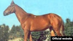 1 milyon 970 min avroya alınan atın pulunu Dövlət Neft Şirkəti verib