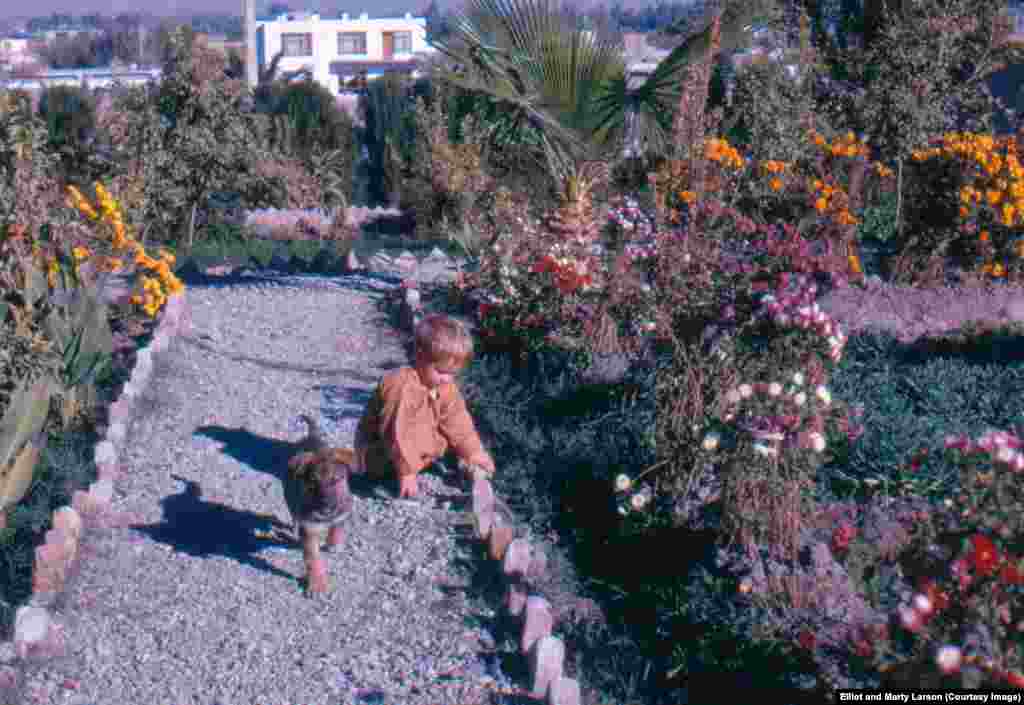 The Larson&#39;s 2-year-old son, playing with his dog Baba.&nbsp;