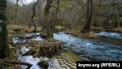Иллюстративное фото: Крым, заповедник Байдарский