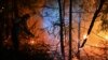 В Хабаровском крае лесные пожары прошли около 0,5 млн гектаров 