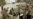 Obama Meets With Top Advisers On Afghan Policy
