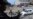 Pakistan Confirms Taliban Arrest