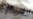 Amnesty Demands Justice After Iranian 'Killing Spree' Against November Protesters