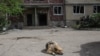 За даними Філашкіна, в місті пошкоджені 16 приватних будинків, три багатоповерхівки і автомобіль (фото ілюстраційне)