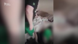 А сын просто не хотел отжиматься