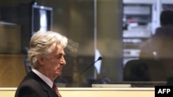 Radovan Karadžić u sudnici Haškog tribunala, 29. avgust 2009