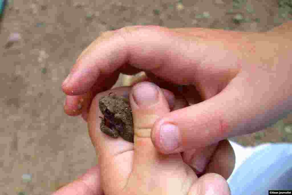 258 ბარბარა ასლამაზაშვილი: ”სათამაშო”