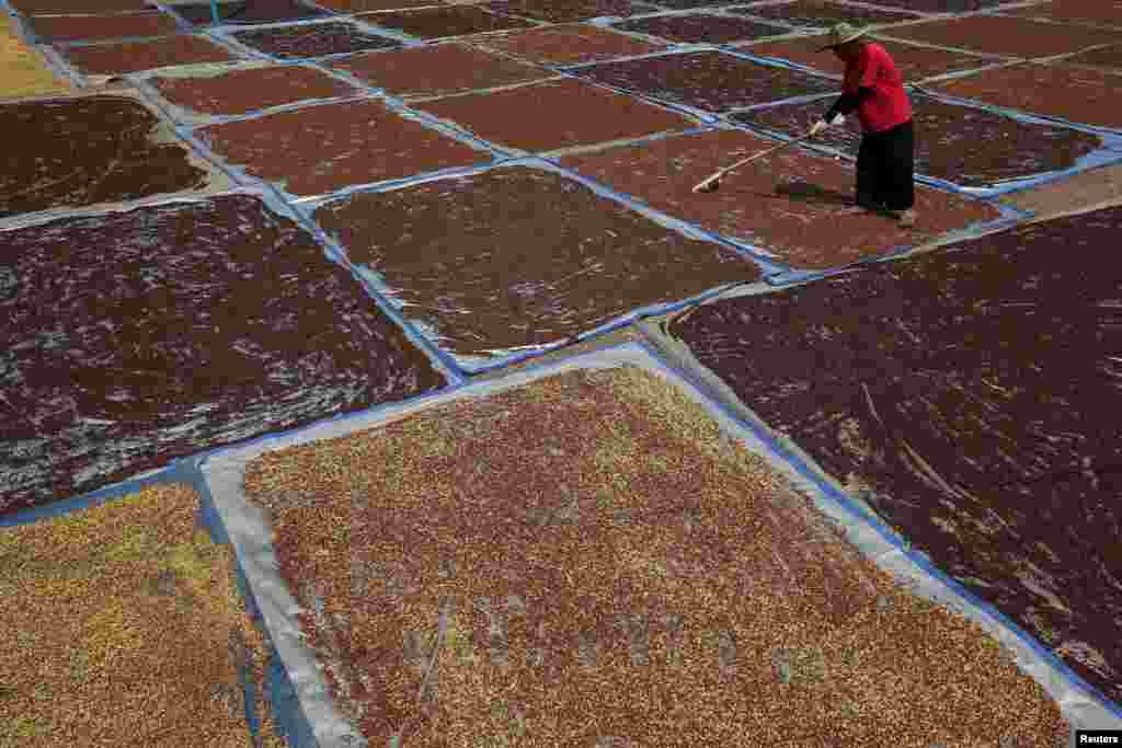İndoneziyada mixək dırmıqlayan fermer.&nbsp;​REUTERS/Darren Whiteside