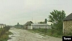Hazırda Şahbuz rayonunda aramsız yağışlar davam edir