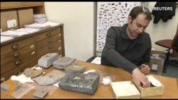 Тираннозаврларнинг ватани Осиё бўлгани аниқланди