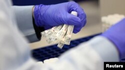 PCR testiranje na korona virus (Ilustrativna fotografija)