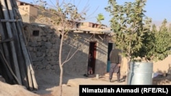 Azharuddin Badakhshi in the backyard of his home outside Faizabad, the provincial capital of Badakhshan Province.