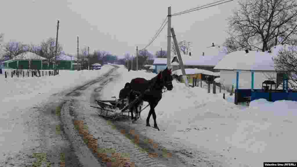 Moldova, 8 dekabr 2012