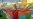 Belarusian High Jumper Nabokau Suspended For Doping