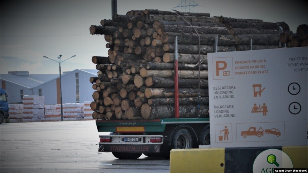 Transport de lemne din pădurile României, Imagine generică. 