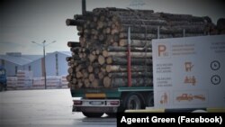 Traficul de lemn exploatat ilegal pare să fi scăpat de sub control în mai multe județe din țară