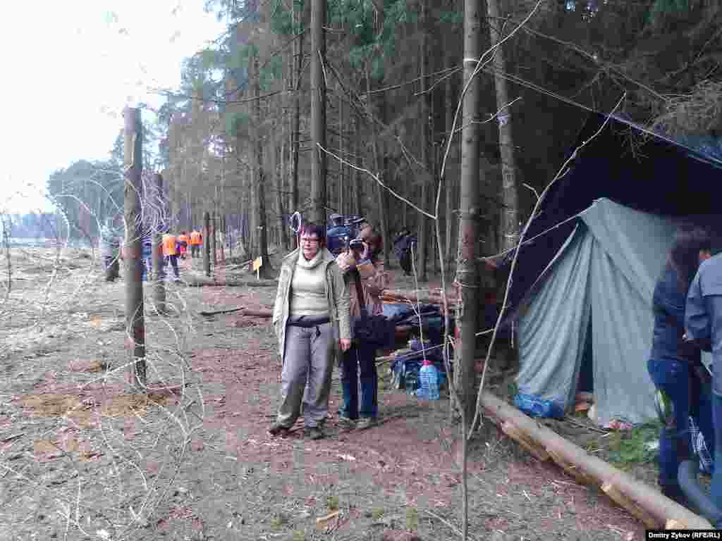 Эколагерь в лесу в Жуковском отделили колючей проволокой от просеки, чтобы защитники леса не мешали работать
