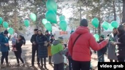 Флешмоб-протест читинцев против вырубки реликтового леса