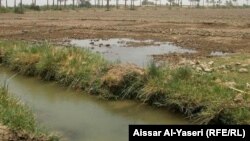 آرشیف