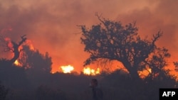 The fire is the biggest in Israel's history