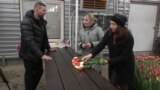 тюльпаны