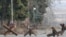 Ukraine -- Kherson - Life in front-line Kherson January 2025
