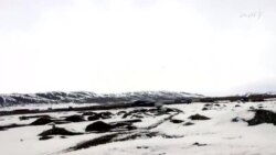 غزني ته راکډه شوي کډوال تر شنه اسمان لاندې ژوند کوي