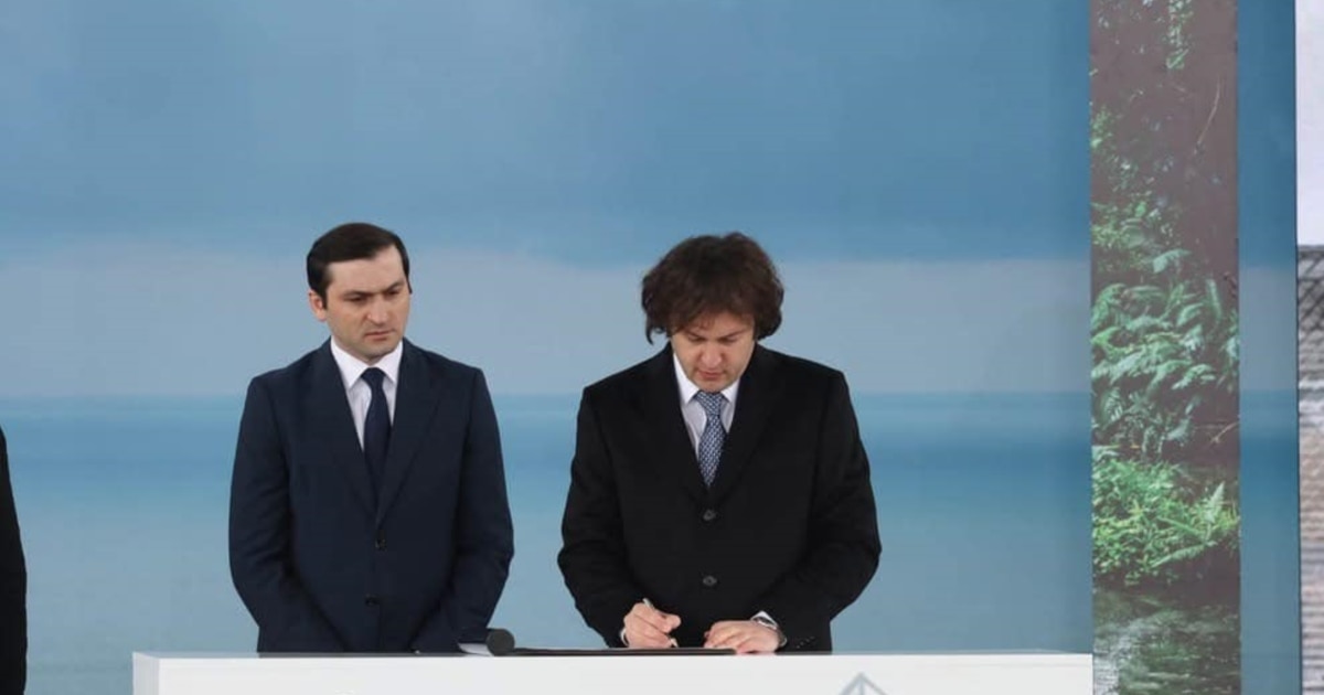 წერილით რატომ სთხოვს დახმარებას ივანიშვილსა და კობახიძეს? – კითხვები, ეჭვები და ფაქტები რიჟვაძის დაჭრის გარშემო