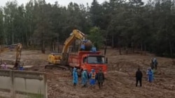 Ысык-Көл: Селде калган жаран изделүүдө