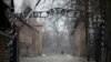 Antisemitski grafiti otkriveni u logoru smrti Auschwitzu