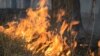 Площадь лесных пожаров в Сибири достигла 60 тысяч гектаров