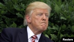 Президент США Дональд Трамп. Вашингтон, 12 июня 2017 года.