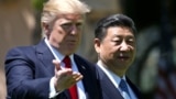 U.S. -- U.S. President Donald Trump and Chinese President Xi Jinping chat as they walk along the front patio of the Mar-a-Lago estate after a bilateral meeting in Palm Beach, Florida, April 7, 2017