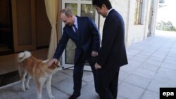 Одна з попередніх зустрічей російського президента Путіна (в центрі) та японського прем’єра Абе (праворуч) у Сочі, лютий 2014 року